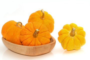 fresh small  pumpkin