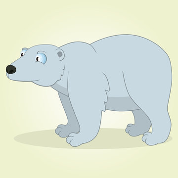 Polar Bear