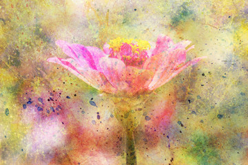 beautiful pink flower and watercolor splatter © abigail210986