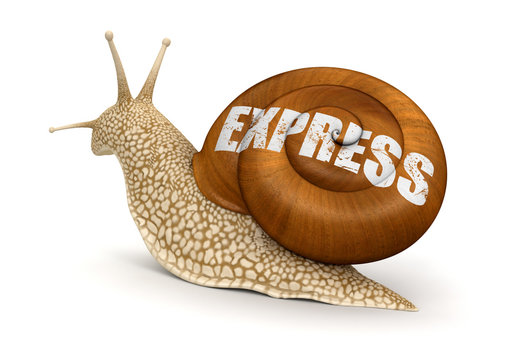 Express Snail (clipping path included)