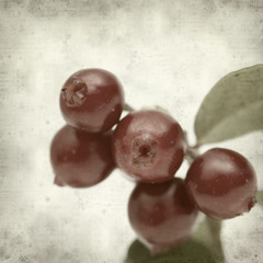 textured old paper background