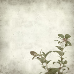 textured old paper background
