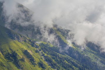 Fototapeta na wymiar mountain slope in a mist