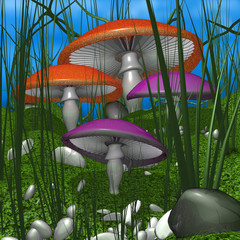 Fototapeta Mushrooms obraz