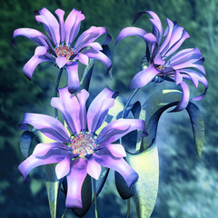 3d flowers © neurostructure