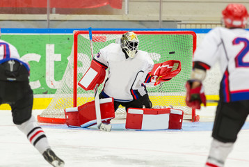 Ice Hockey Goalie