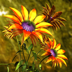 flowers 3d © neurostructure