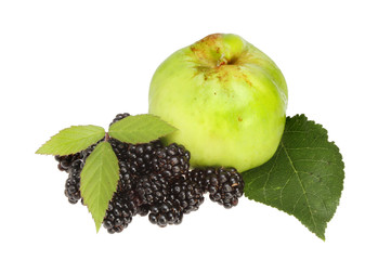 Blackberries and apple © Richard Griffin