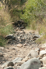 River run dry