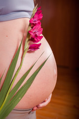 beautiful pregnancy