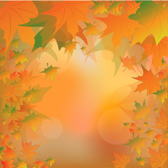 Obraz premium Autumn background with leaves. Back to school.