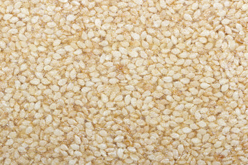 Close shot of sesame seeds