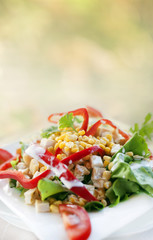 Fresh corn tomato paprika salad