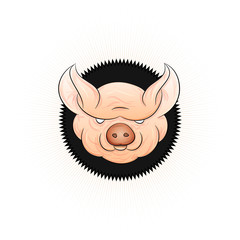 Pig head