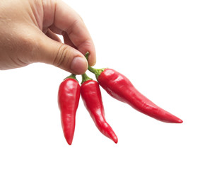 red chili peppers in hand on white background
