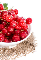Isolated Red Currants