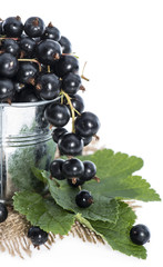 Black Currants on white