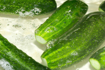 cucumbers in the water as a background