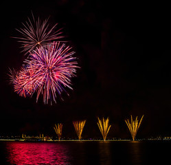 Fireworks display in the night sky