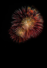 Fototapeta premium Fireworks display in the night sky