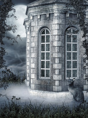 Okrągły budynek z kotem © Obsidian Fantasy