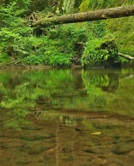 The end of summer at mountain river lines with sandstone rocks
