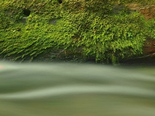 Mossy boulder in the river under trees at mountain river