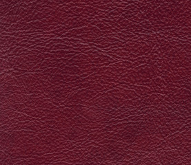  leather texture closeup..
