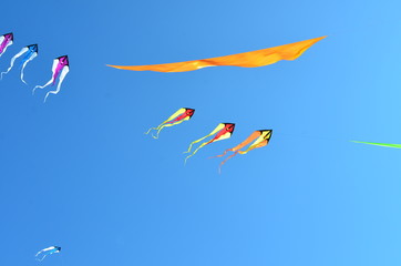 Flying kites in a  blue sky