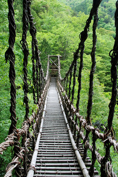 Fototapeta Pont de lianes Kazura-bashi à Oku Iya, Shikoku, Japon