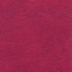 red leather texture closeup