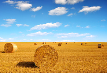 Straw bales on farmland with blue cloudy sky