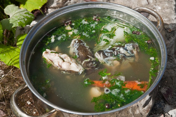 soup made from carp