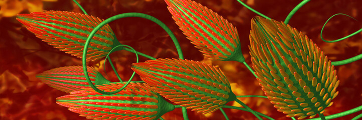 red flowers panoramic © neurostructure