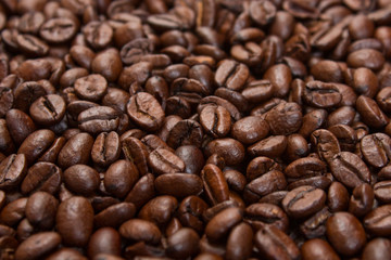 Naklejka premium Ziarna kawy