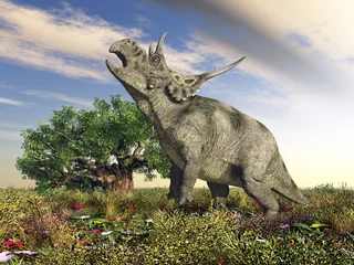 Badezimmer Foto Rückwand Dinosaurier Diabloceratops © Michael Rosskothen