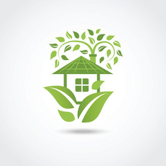 Green eco house