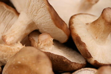 Shiitake Mushrooms