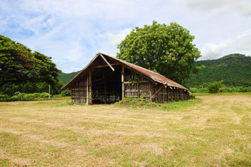 Fototapeta na wymiar farm house on the country side