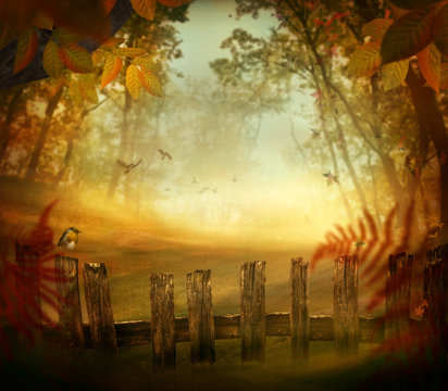 Autumn design - Forest with wood fence