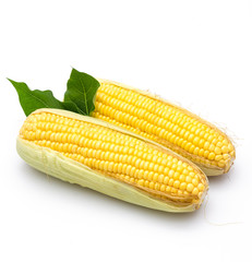 Corn