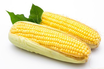 Corn