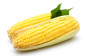 Corn