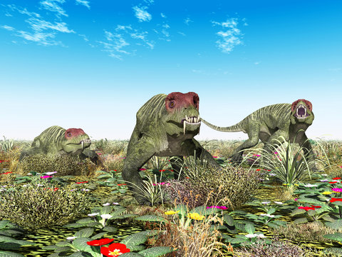 Dinosaurier Doliosauriscus