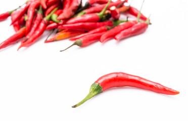 Chilli