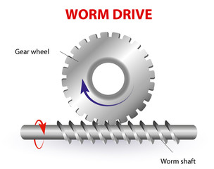 Worm drive or Torsen differential