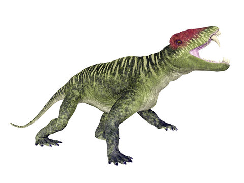 Dinosaur Doliosauriscus