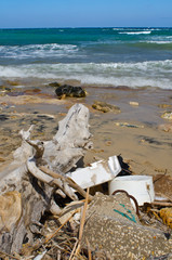 Fototapeta na wymiar waste accumulates on the beach
