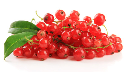 Red currant isolated on white