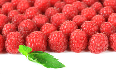 Ripe sweet raspberries isolated on white